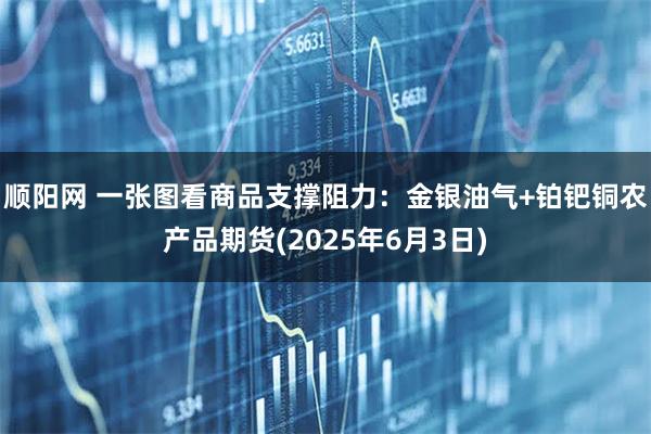 顺阳网 一张图看商品支撑阻力：金银油气+铂钯铜农产品期货(2025年6月3日)