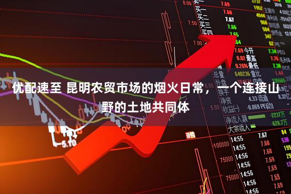 优配速至 昆明农贸市场的烟火日常，一个连接山野的土地共同体
