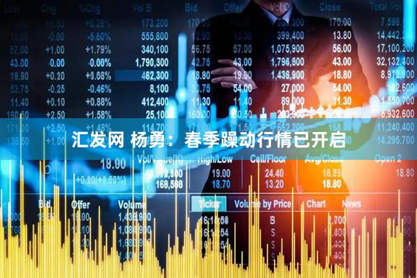 汇发网 杨勇：春季躁动行情已开启