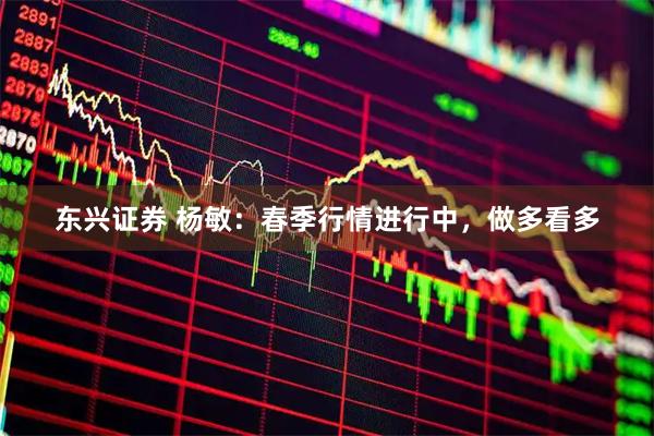 东兴证券 杨敏：春季行情进行中，做多看多