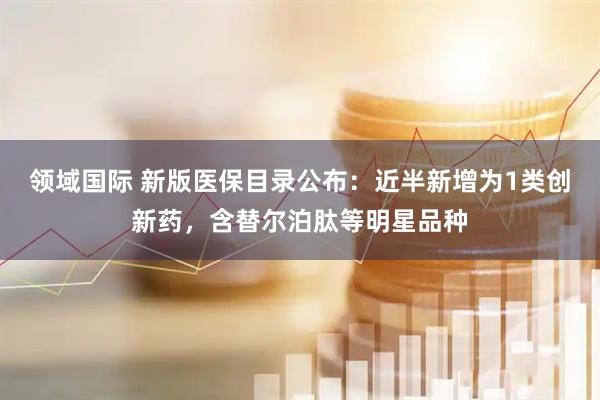 领域国际 新版医保目录公布：近半新增为1类创新药，含替尔泊肽等明星品种