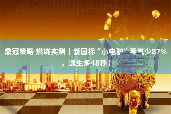 鼎冠策略 燃烧实测｜新国标“小电驴”毒气少87%，逃生多48秒！