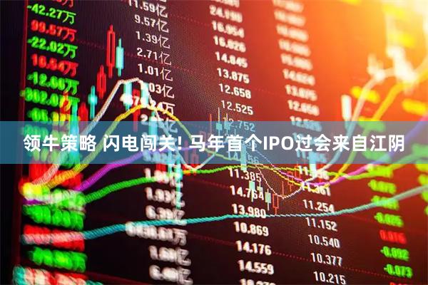 领牛策略 闪电闯关! 马年首个IPO过会来自江阴