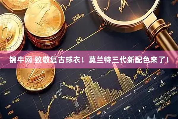 锦牛网 致敬复古球衣！莫兰特三代新配色来了！
