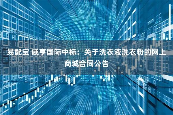 易配宝 咸亨国际中标：关于洗衣液洗衣粉的网上商城合同公告