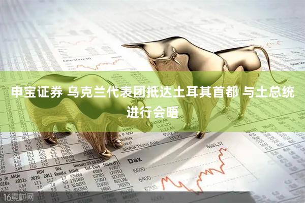 申宝证券 乌克兰代表团抵达土耳其首都 与土总统进行会晤